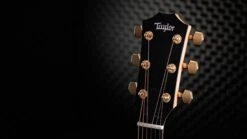 Taylor 50th Anniversary 217e-SB Plus LTD -Guitar Store Taylor 217e SB Plus LTD 2210113309 gallery 08 2023