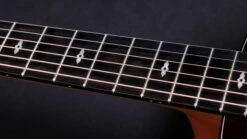 Taylor 50th Anniversary 217e-SB Plus LTD -Guitar Store Taylor 217e SB Plus LTD 2210113309 gallery 10 2023