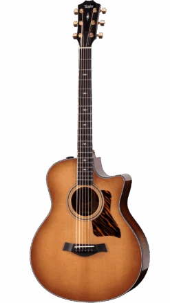 Taylor 50th Anniversary 316ce Baritone-6 LTD