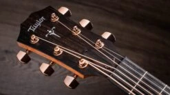 Taylor 724ce Acoustic Guitar 17 Taylor 724ce Acoustic Guitar -Guitar Store Taylor 724ce 1201272186 Gallery 09 2022