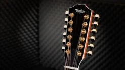 Taylor 50th Anniversary 858e LTD 12-String -Guitar Store Taylor 858e LTD 1209203108 gallery 08 2023