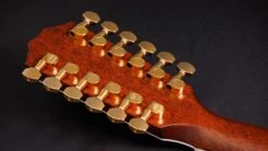 Taylor 50th Anniversary 858e LTD 12-String -Guitar Store Taylor 858e LTD 1209203108 gallery 09 2023