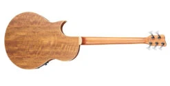 Warwick Alien 5 String Fretless Natural Right Hand 8 Warwick Alien 5 String Fretless Natural Right Hand -Guitar Store WR ALIEN5 N 2