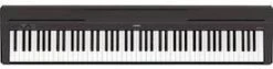 Yamaha P45B
