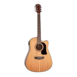 Washburn Apprentice D5CE Acoustic Guitar Starter Pack - Natural