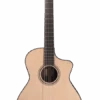 Furch GNc 4-SR EAS-VTC Classical Guitar