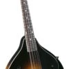 Kentucky KM-150 A Style Mandolin