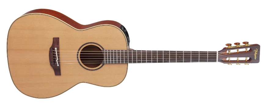 Takamine P3NY 2 Takamine P3NY - Image 2