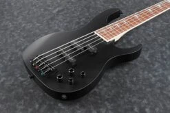 Ibanez RGB305 BKF Electric Bass 5 String -Guitar Store p region RGB305 BKF 1P 01 sub 1